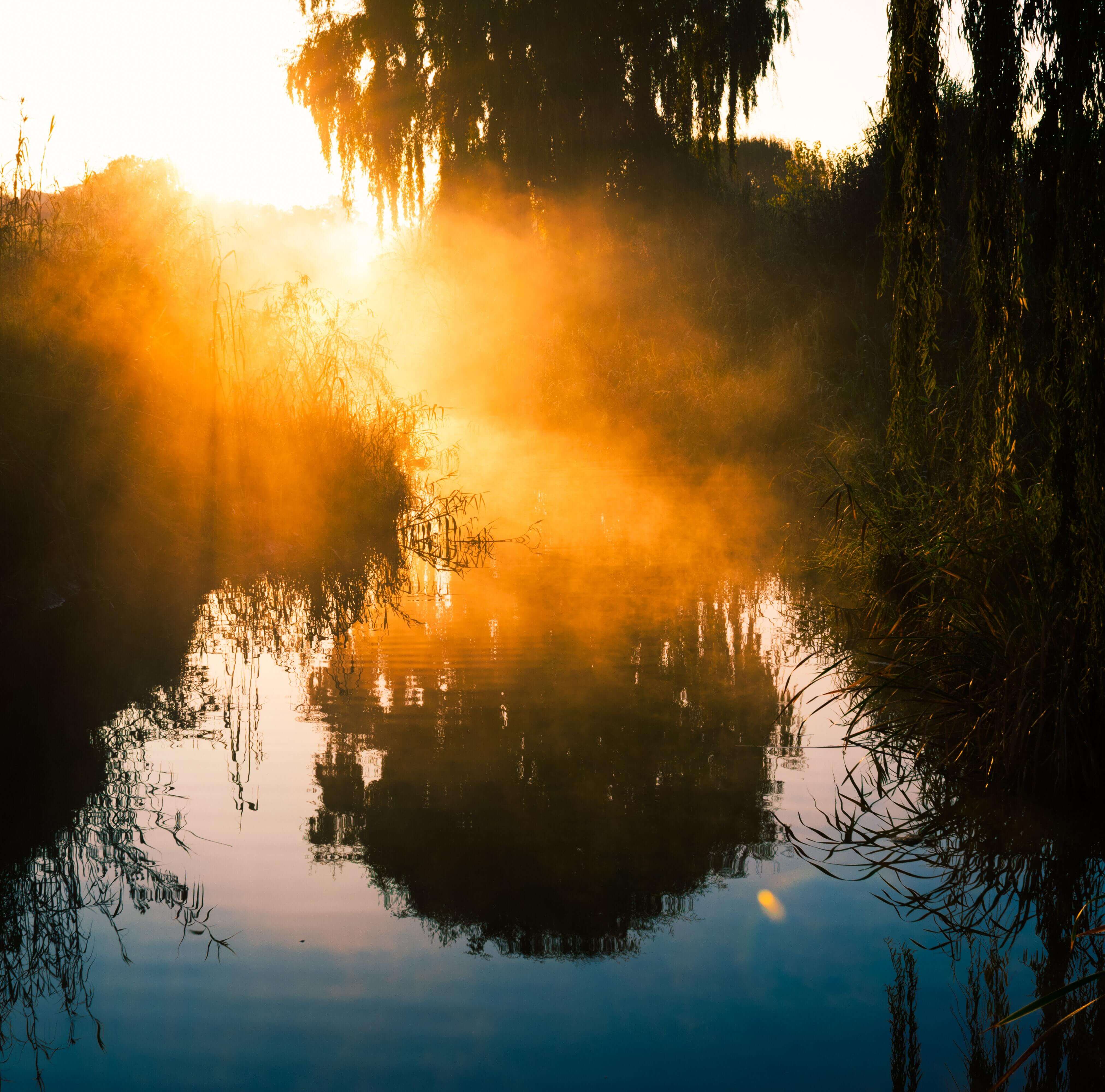 Chinampas