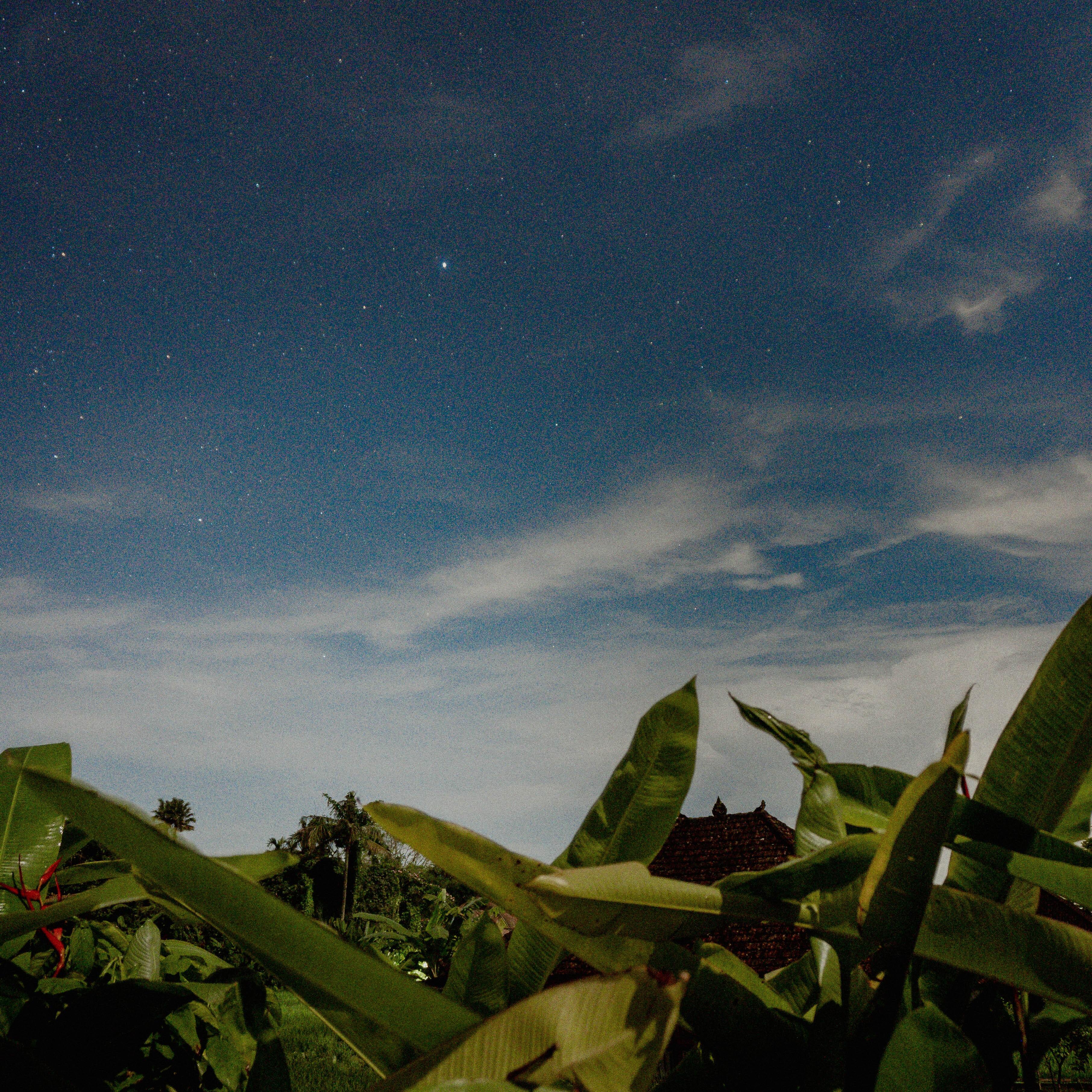Cielo nocturno