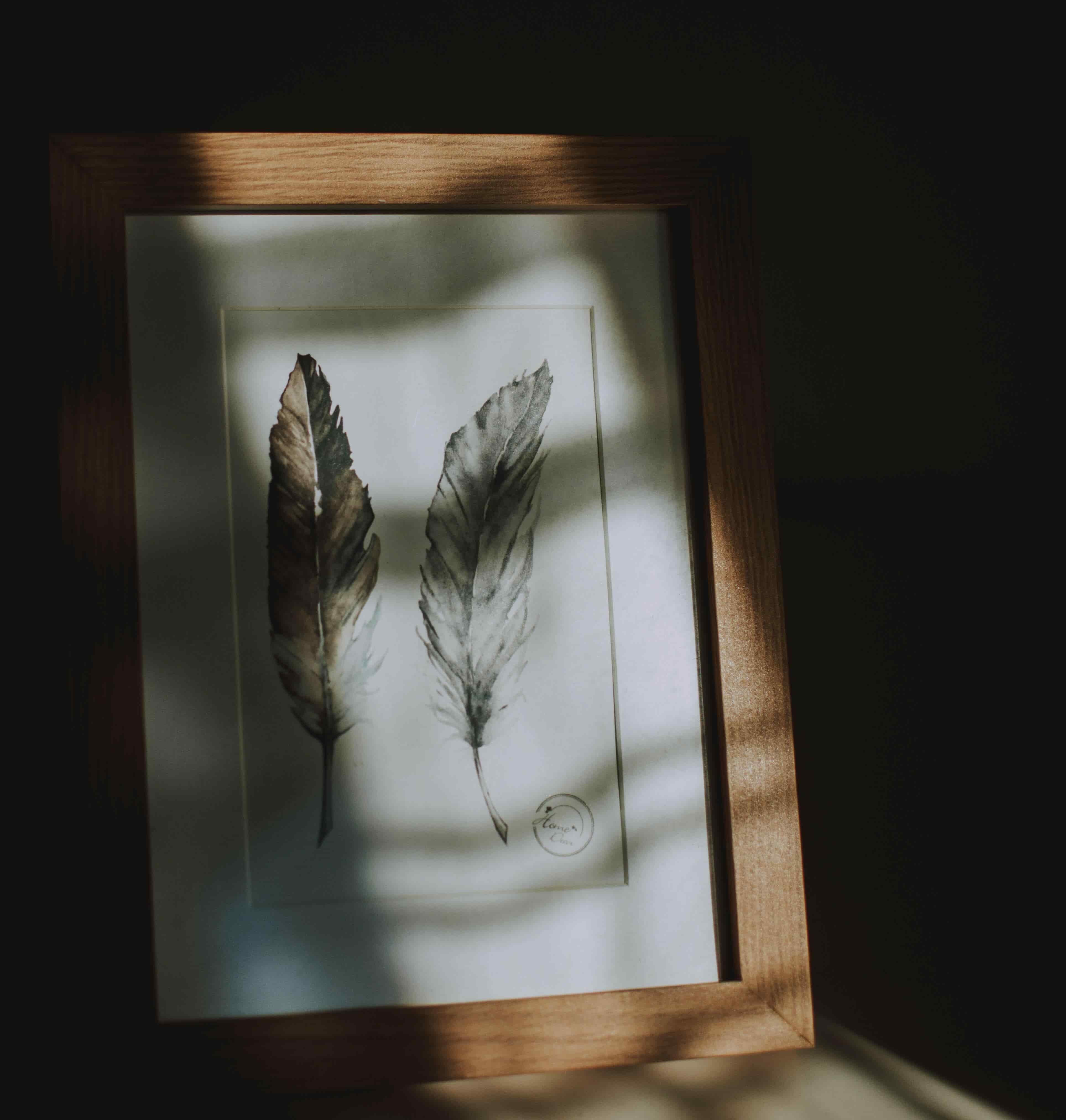 Cuadro de Plumas
